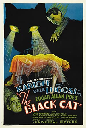 The Black Cat Poster