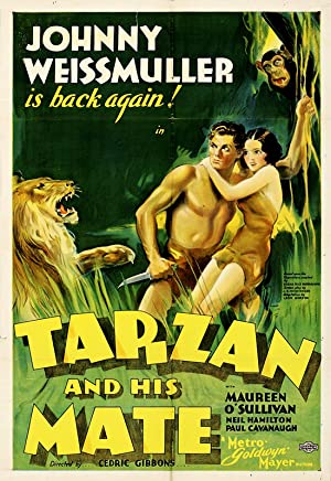 Tarzan and His Mate Poster