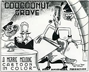 The CooCoo Nut Grove Poster