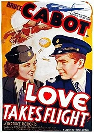 Love Takes Flight Poster