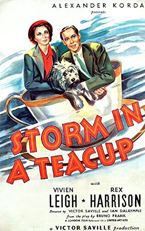 Storm in a Teacup Poster