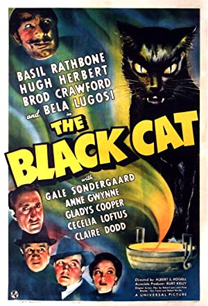 The Black Cat Poster