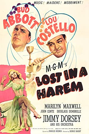 Lost in a Harem Poster