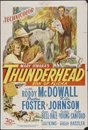 Thunderhead: Son of Flicka Poster