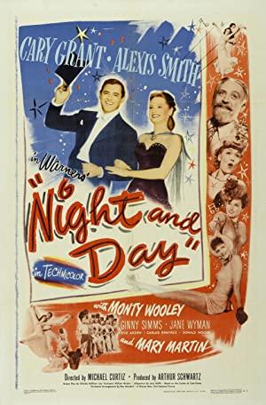 Night and Day Poster