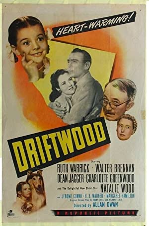 Driftwood Poster