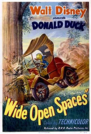 Wide Open Spaces Poster