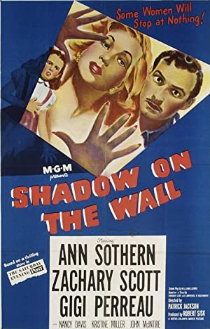 Shadow on the Wall Poster