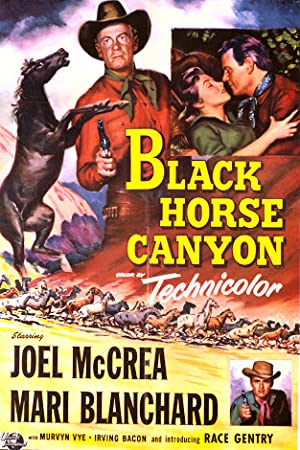 Black Horse Canyon Poster