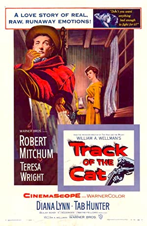 Track of the Cat Poster