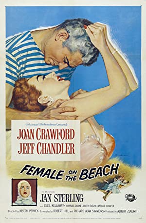 Female on the Beach Poster