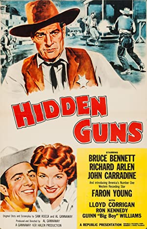 Hidden Guns Poster