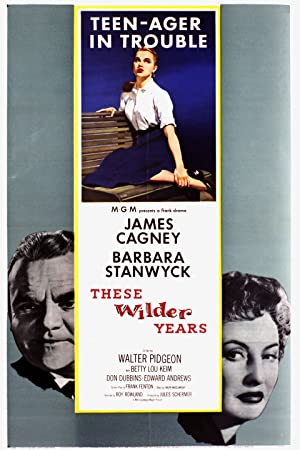 These Wilder Years Poster