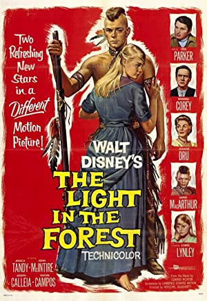 The Light in the Forest Poster