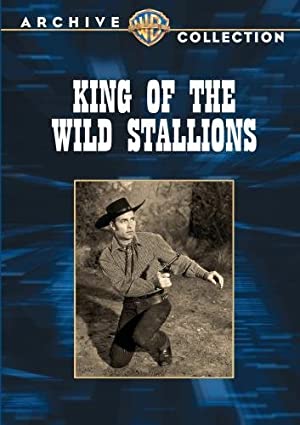 King of the Wild Stallions Poster