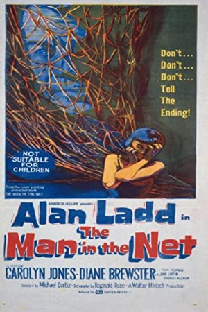 The Man in the Net Poster