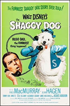 The Shaggy Dog Poster