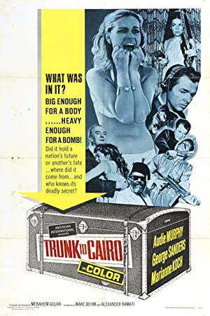 Trunk to Cairo Poster