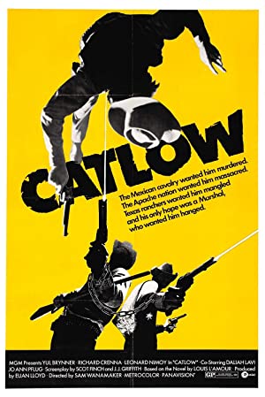 Catlow Poster