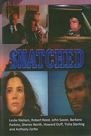 Snatched Poster