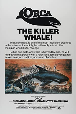 Orca Poster