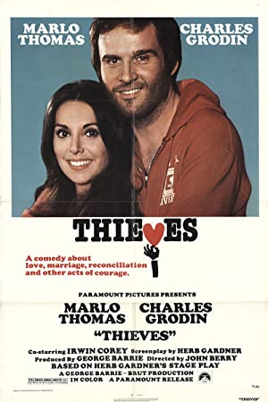 Thieves Poster