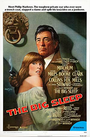 The Big Sleep Poster