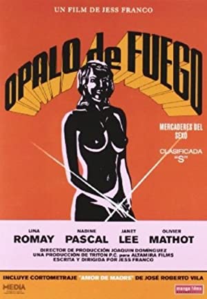 Two Female Spies with Flowered Panties Poster