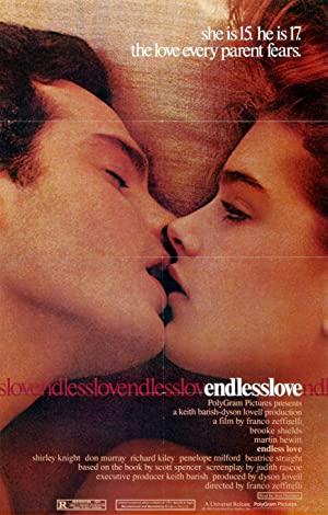 Endless Love Poster