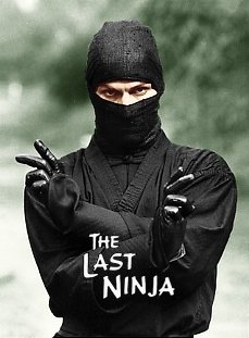 The Last Ninja Poster