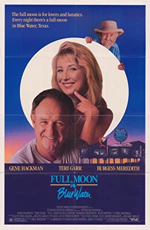 Full Moon in Blue Water Poster