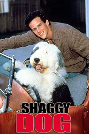 The Shaggy Dog Poster