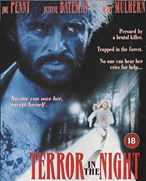 Terror in the Night Poster