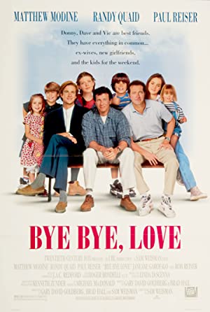 Bye Bye Love Poster