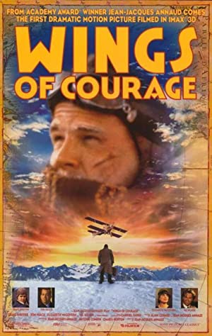 Wings of Courage Poster