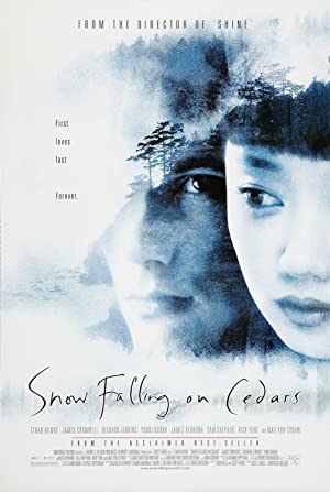 Snow Falling on Cedars Poster