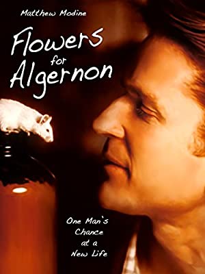 Flowers for Algernon Poster