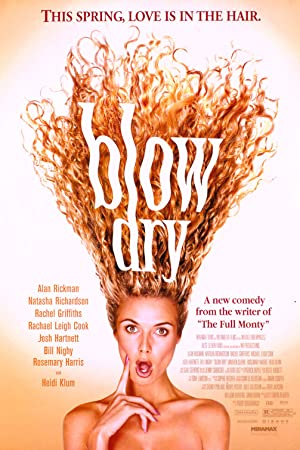 Blow Dry Poster