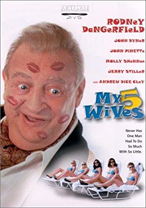 My 5 Wives Poster