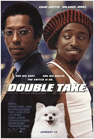 Double Take Poster