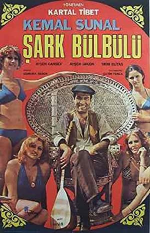 Sark Bülbülü Poster