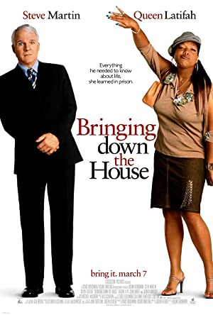 Bringing Down the House Poster