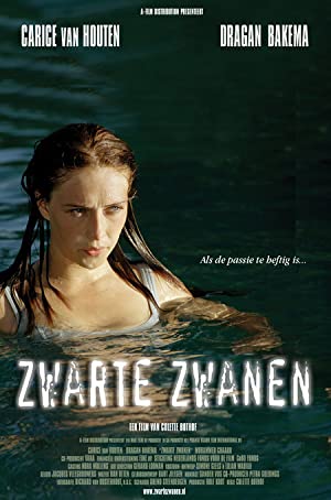 Zwarte zwanen Poster