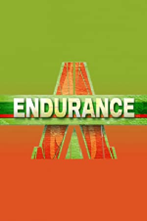 Endurance Poster