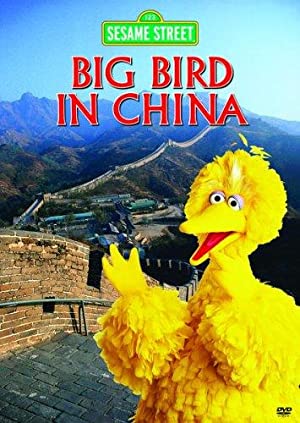 Big Bird in China Poster