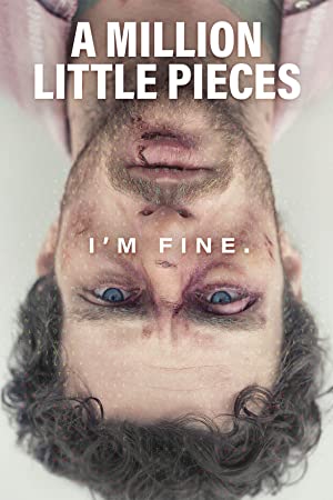 A Million Little Pieces Poster