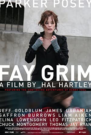 Fay Grim Poster