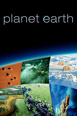 Planet Earth Poster