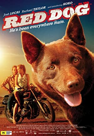 Red Dog Poster