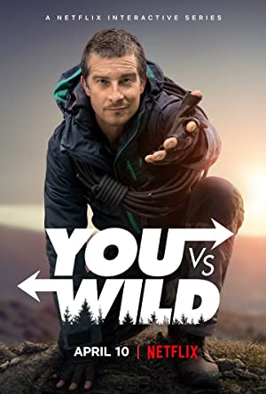 You vs. Wild Poster